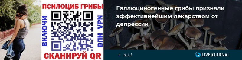 Галлюциногенные грибы Cubensis  Горячеводский 